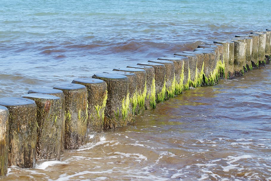sea, beach, jackdaws, wave, holiday, water, no people, beauty in nature HD wallpaper
