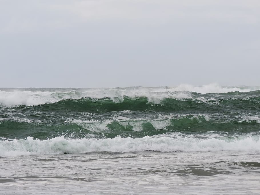 Waves, Ocean, Beach, Coast, Oregon, ocean wave, sea, surf, nature HD wallpaper