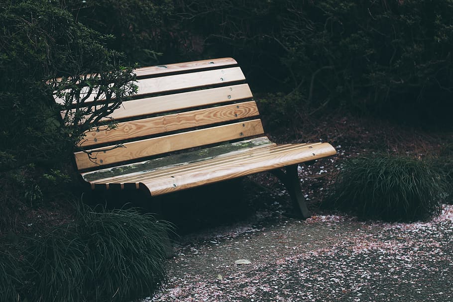 beige wooden bench beside green linear leaf plant, green leaf HD wallpaper