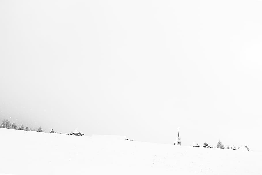 white snowy terrain, field, forest, building, cold, cold temperature HD wallpaper