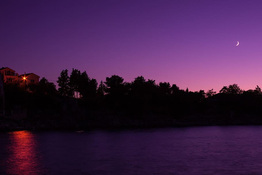 Tree Silhouette Under Purple Sky during Night, lake, moon, river HD wallpaper