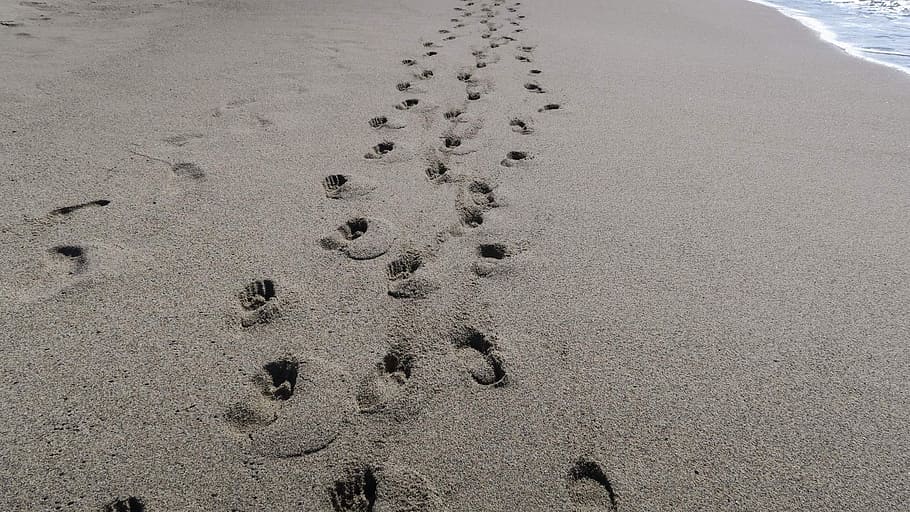 action, walk, print, sand, land, beach, footprint, high angle view HD wallpaper
