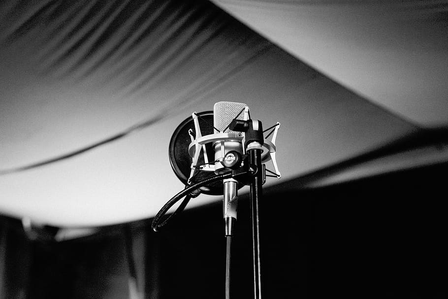 microphone, music, record, condenser, pop, filter, black and white HD wallpaper