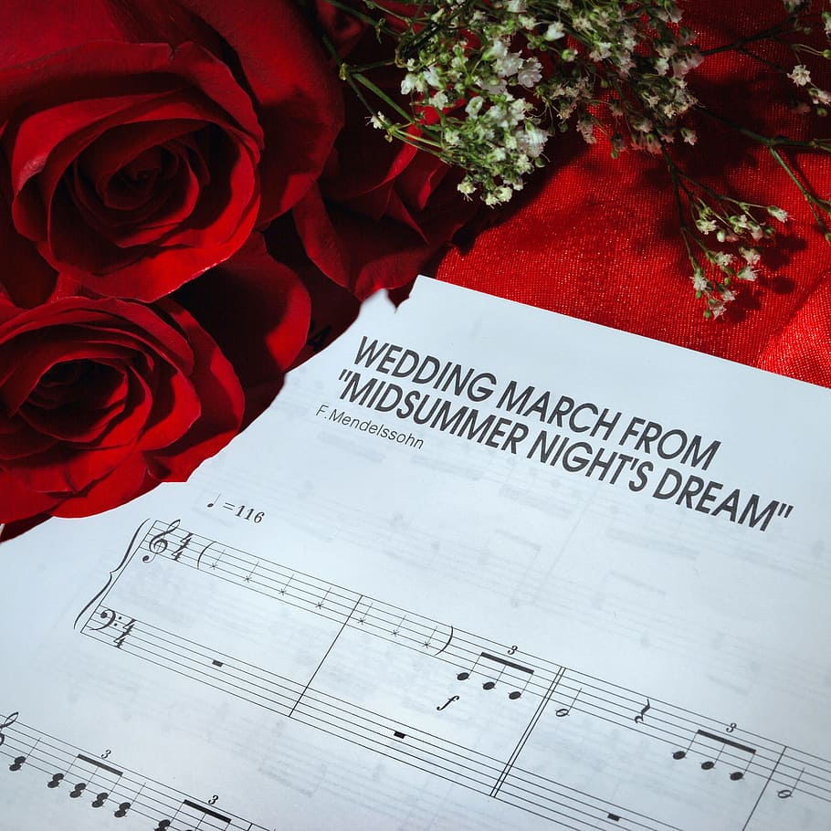 Wedding March From Midsummer Night's Dream paper, rose, love, HD wallpaper