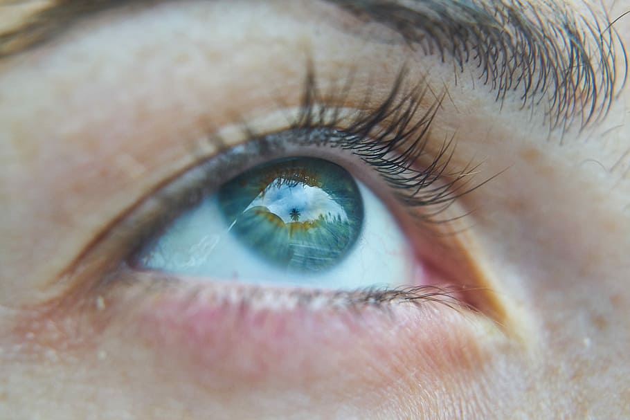 close-up photo person's eye, Macro, Human, Overview, blue, contact HD wallpaper