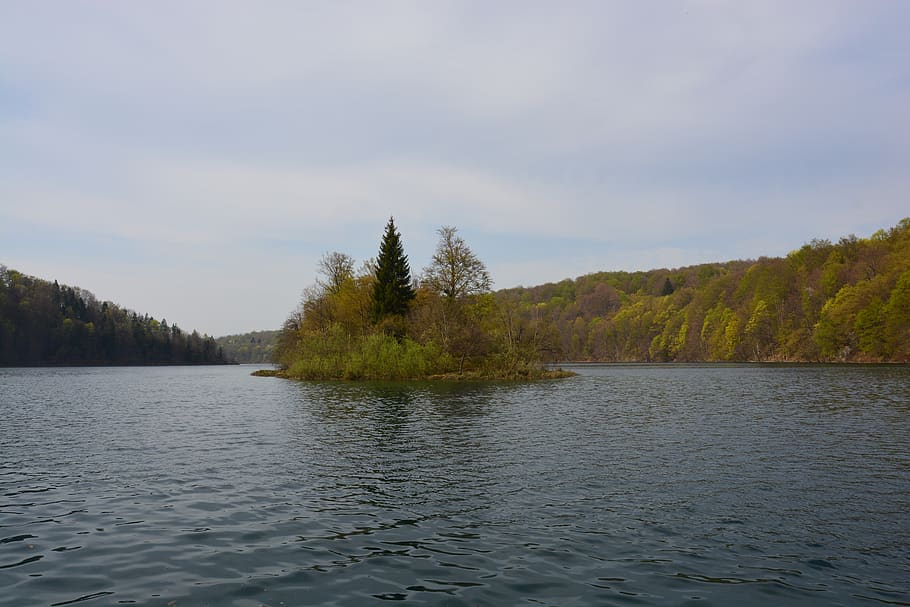 lake, landscape, nature, water, tree, tranquility, plant, tranquil scene HD wallpaper