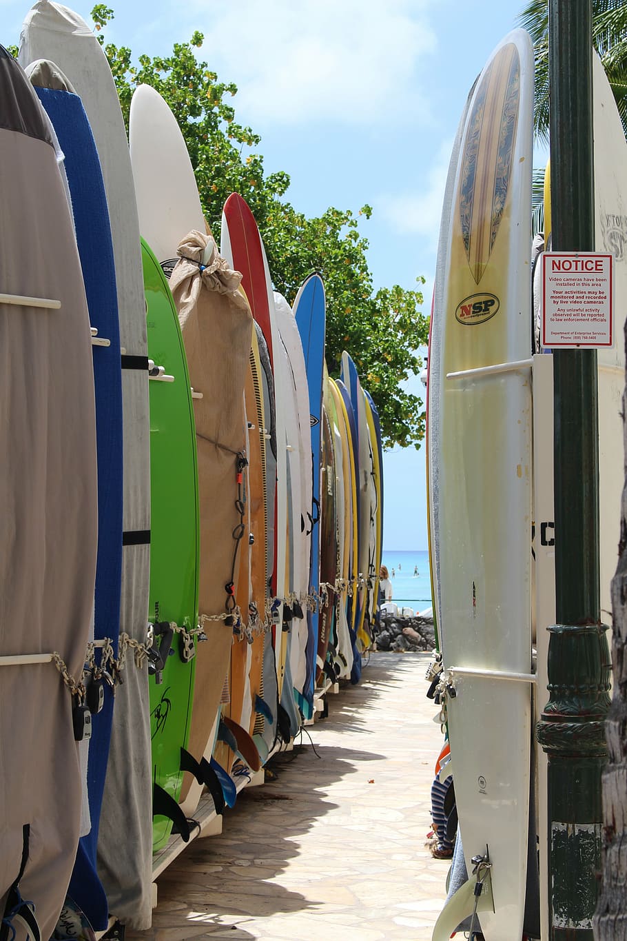 surfboards, beach, surfer, sports, surfing, in a row, sky, day HD wallpaper