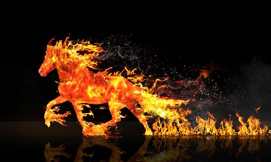 horse in flame digital wallpaper, flaming, illustration, fire horse, HD wallpaper