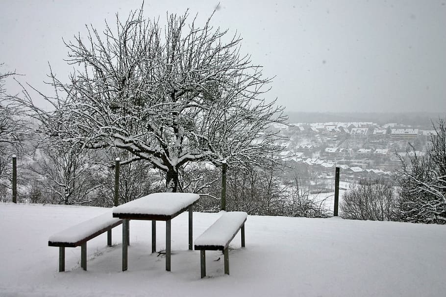 winter, wintry, snow, trees, table, bank, more, picnic, white HD wallpaper