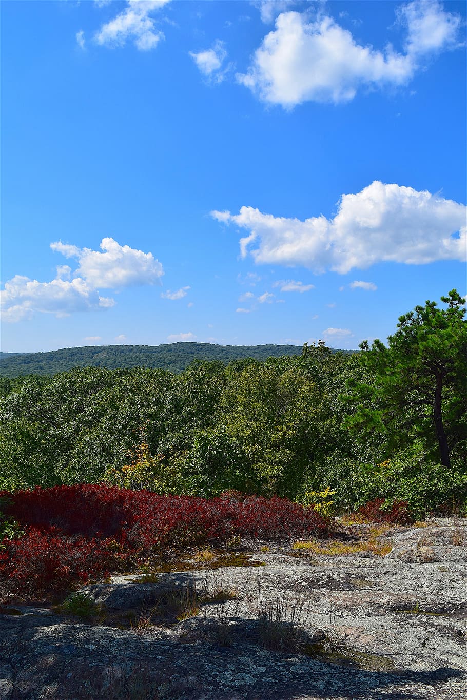 mountain top, trees, sky, clouds, park, landscape, nature, outdoor HD wallpaper