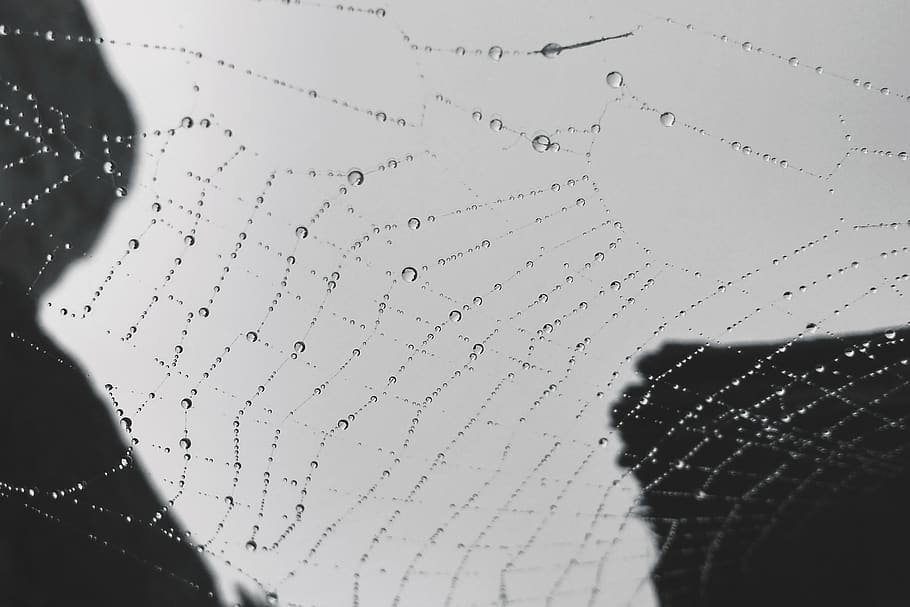 pattern, abstract, drop, shape, outdoors, people, dirty, waterdrop HD wallpaper