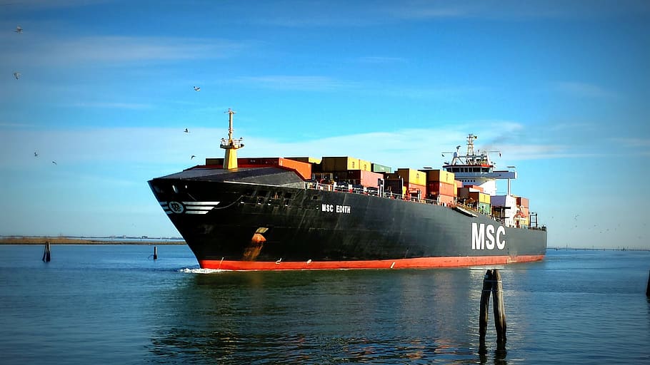 black MSC shipping boat in body of water, merchant, port, freighter, HD wallpaper
