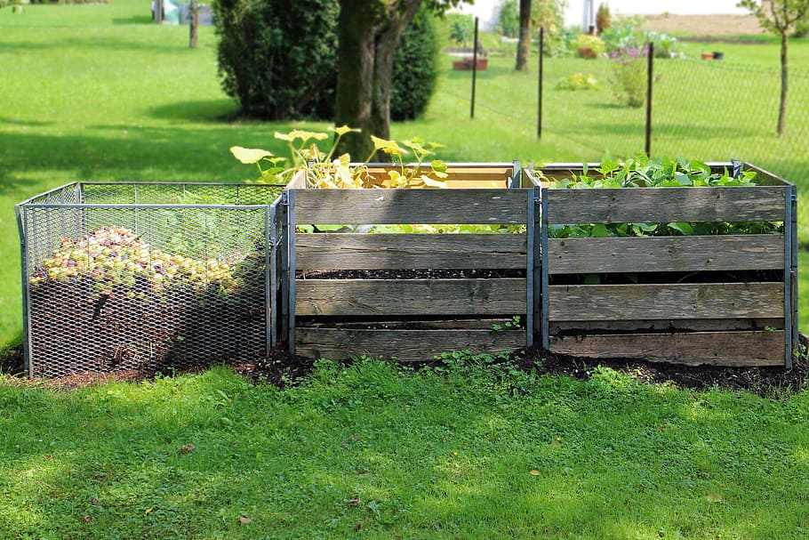 green vegetables inside square brown wooden fence, compost, garden