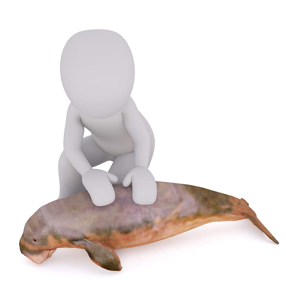 Males, 3D Model, Isolated, 3D, Model, full body, white, 3d man HD wallpaper