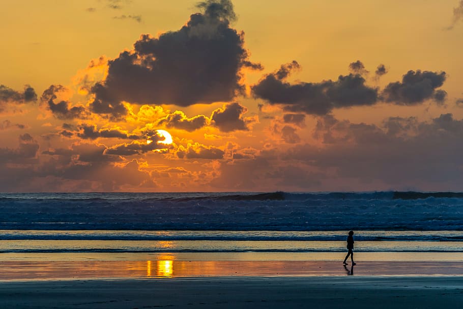 person walking near seashore during daytime, sunset, beach HD wallpaper
