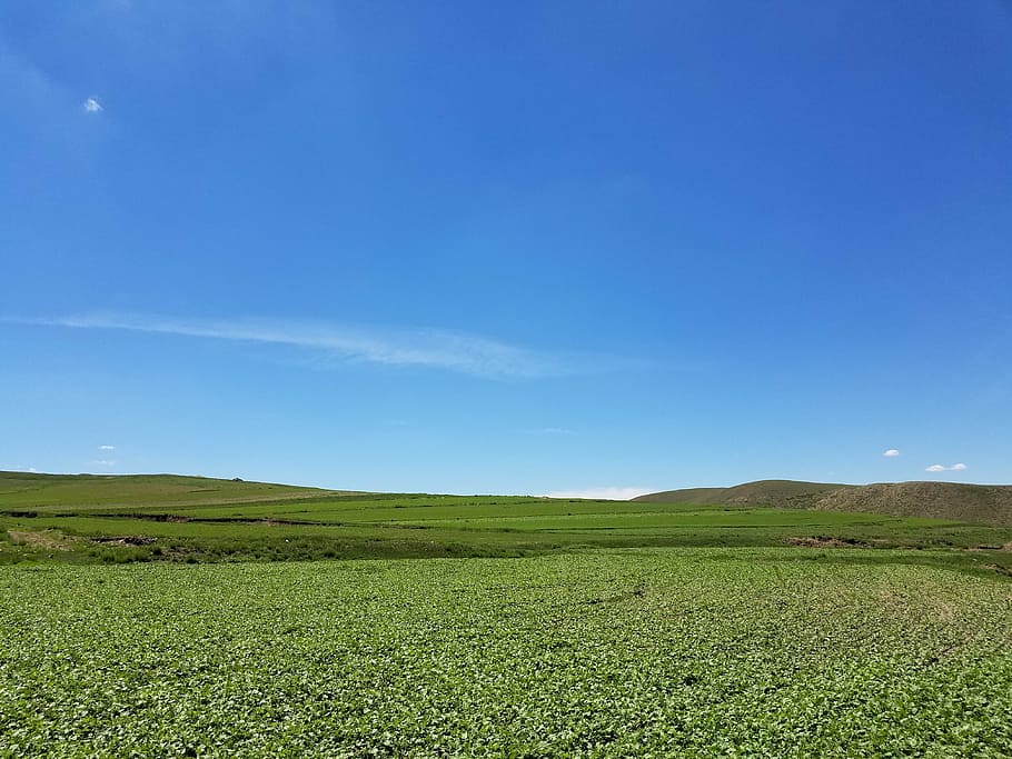 blue sky, fresh air, cloud, nature, hill, rural Scene, agriculture HD wallpaper