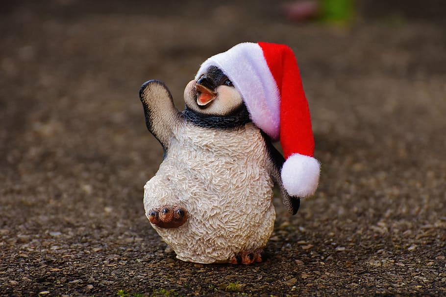 penguin, figure, christmas, santa hat, decoration, funny, animal, HD wallpaper