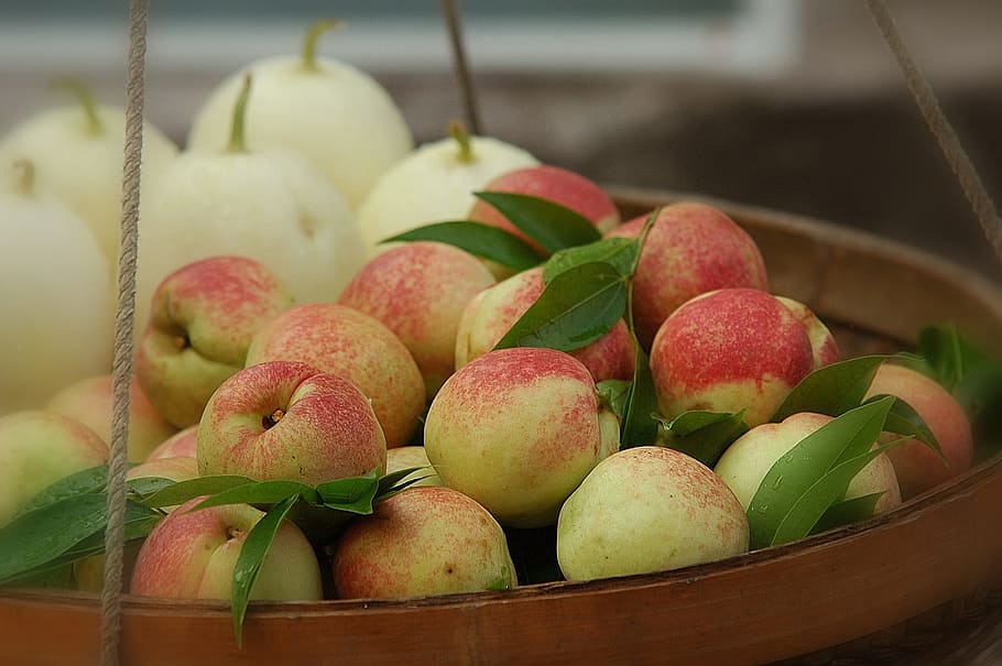 Fruit, Apple, Nature, Peace, food and drink, freshness, healthy eating HD wallpaper