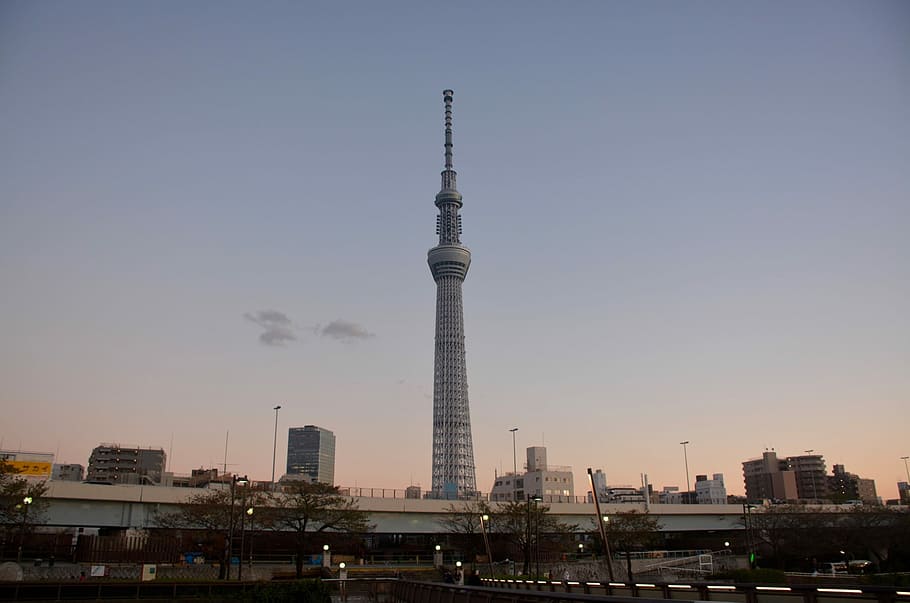 Tokyo, Tower, Evening, Cityscape, architecture, travel destinations HD wallpaper