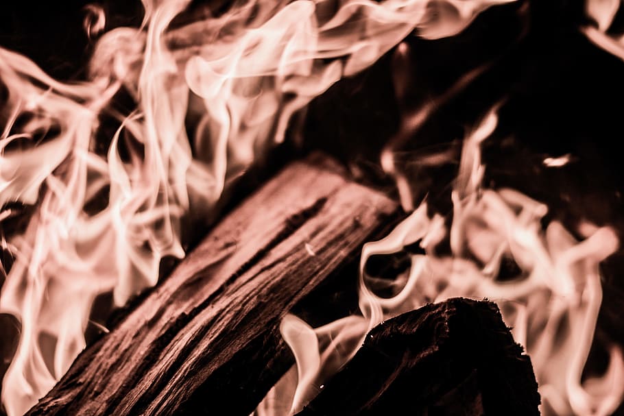 shallow focus photography of bonfire, campfire stories, log, wood HD wallpaper