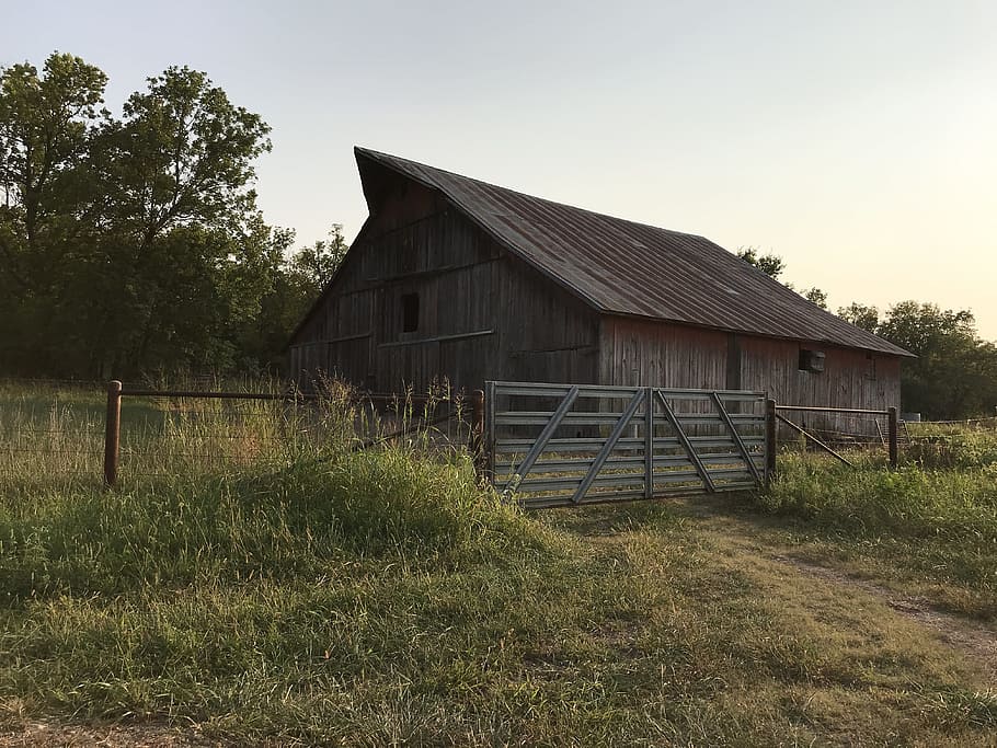 barn, prairie, rural, plant, built structure, architecture HD wallpaper