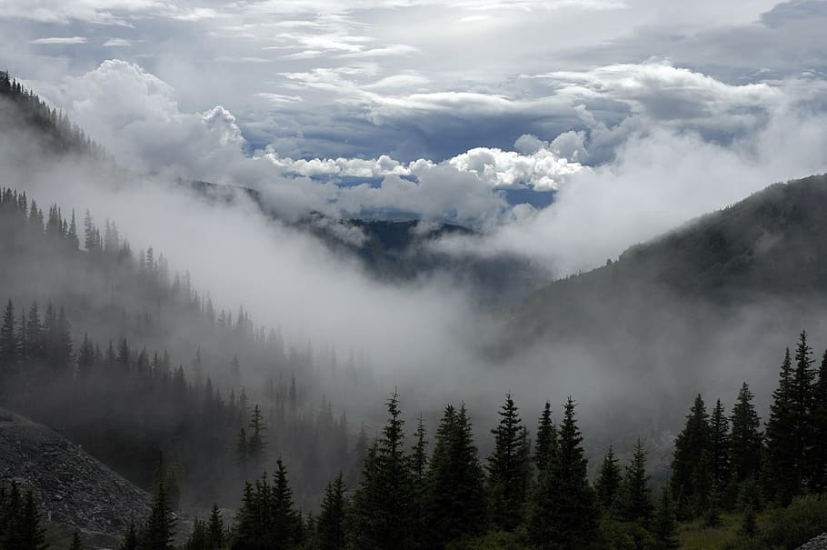 fog covered mountain cliffs, fogs, covering, gray, sky, clouds HD wallpaper