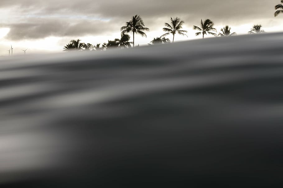 untitled, windmill, coconut, tree, plant, clouds, sky, water HD wallpaper
