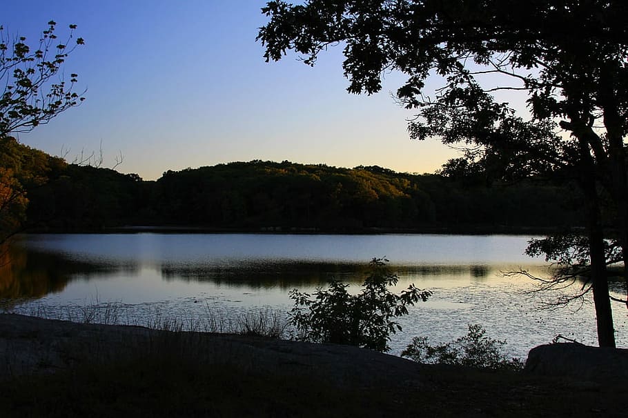 Evening, Dusk, Tree, Lake, Woods, Forest, surface, park, new