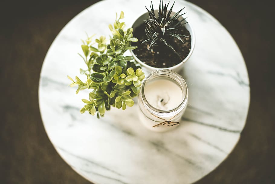 white votive candle near plant pot, white votive candle beside green succulent plant HD wallpaper