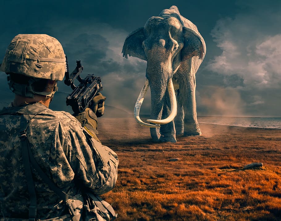 person facing backward, army, people, warrior, man, art, representation HD wallpaper