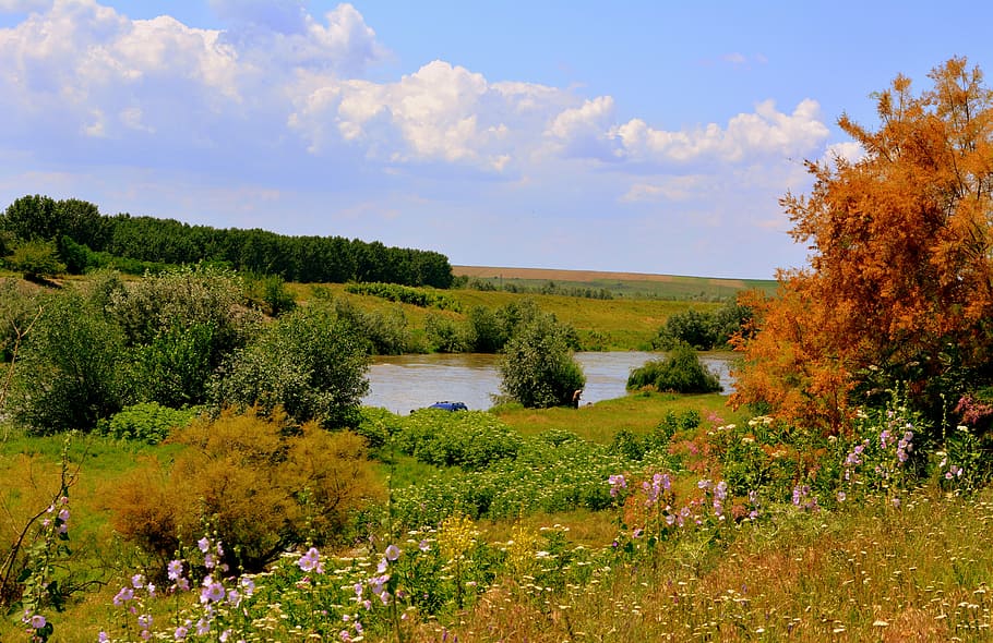 landscape, autumn, trees, river, plant, beauty in nature, sky HD wallpaper