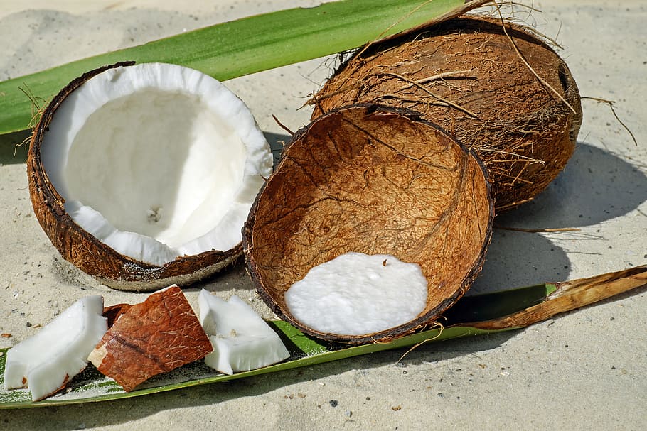 coconut fruit, shell, brown, pulp, delicious, healthy, nutrition HD wallpaper