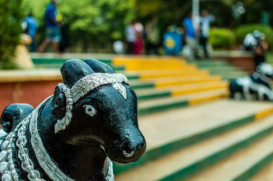 Free download | HD wallpaper: bull, shrine, nandi, india, temple ...