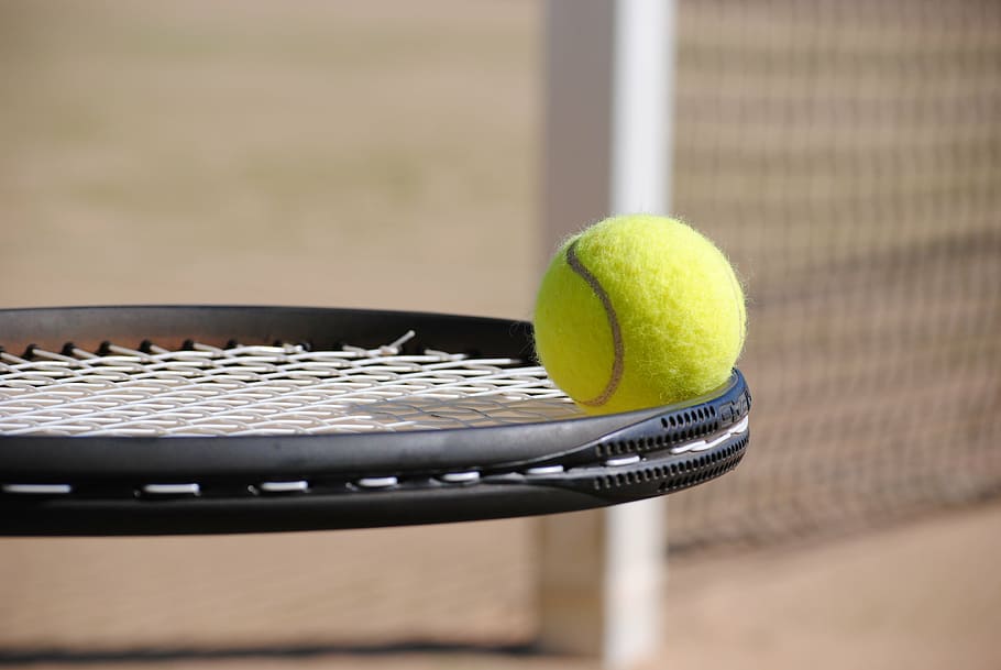 black tennis racket and tennis ball, tennis court, sport, bat