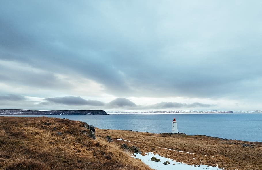 white lighthouse near sea and brown grass under white sky, lighthouse beside body of water during daytime HD wallpaper