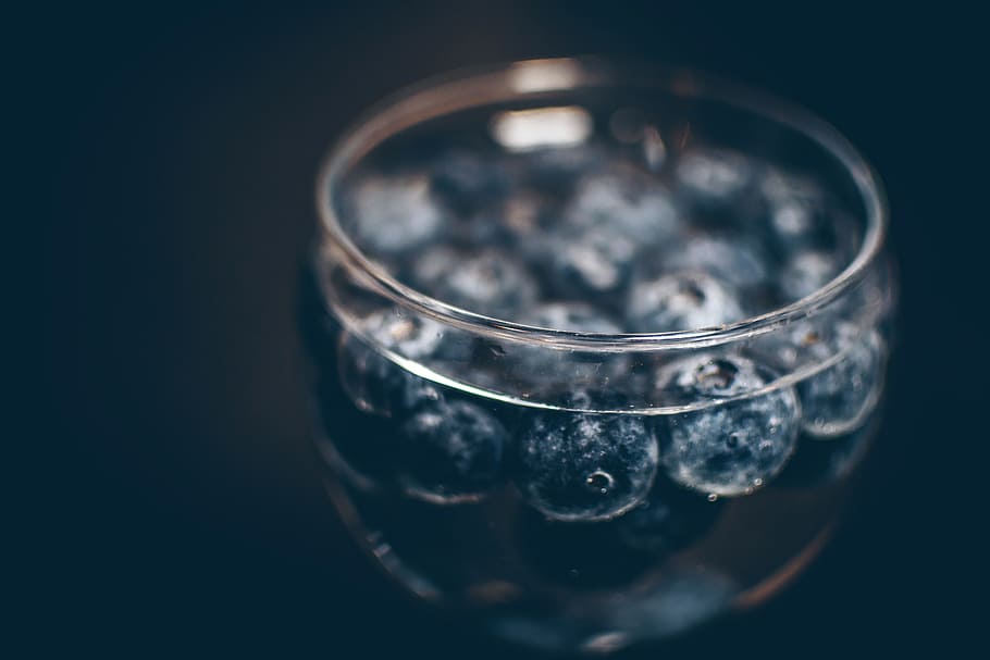 food, healthy, water, dark, berries, blueberries, clean, clear HD wallpaper