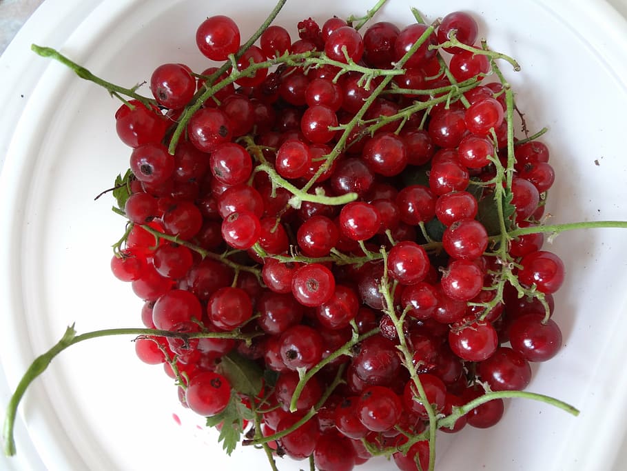 currant, fruit, red, healthy, colorful, red currant, food and drink HD wallpaper