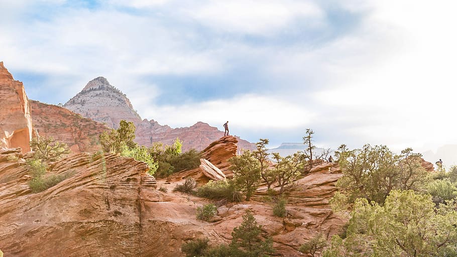 canyon surrounded with trees, rock formation with green trees during daytime HD wallpaper