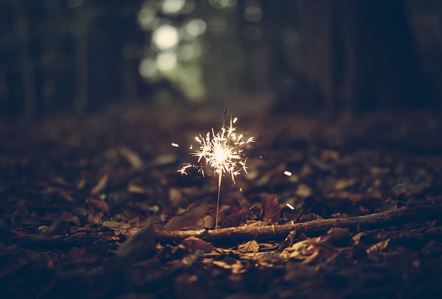 firework in the woods, low exposure photo of lighted sparkler surrounded with withered leaves on ground HD wallpaper