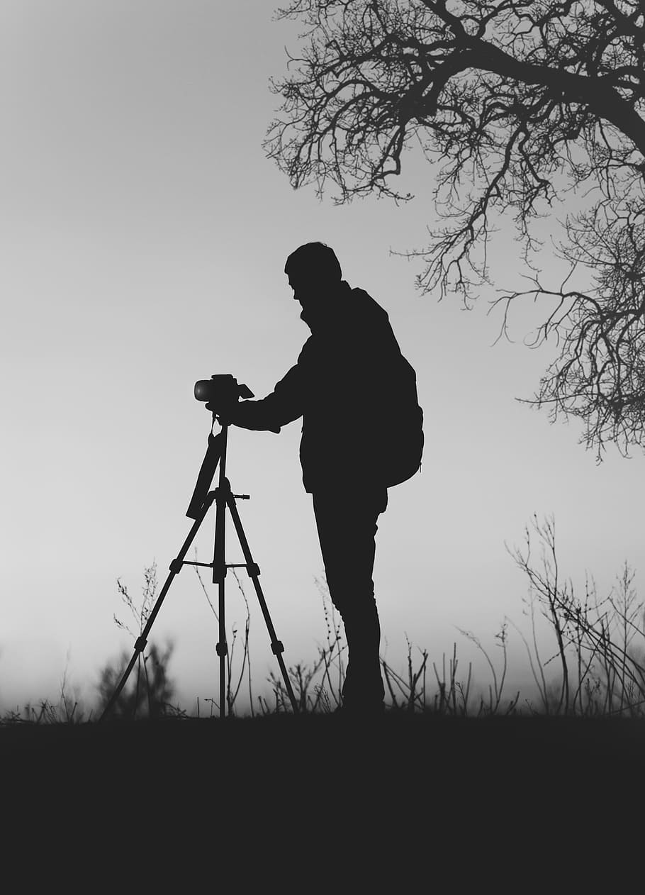 silhouette photo of man in front of DSLR camera with tripod under leafless tree, silhouette of man holds tripod camera at daytime HD wallpaper