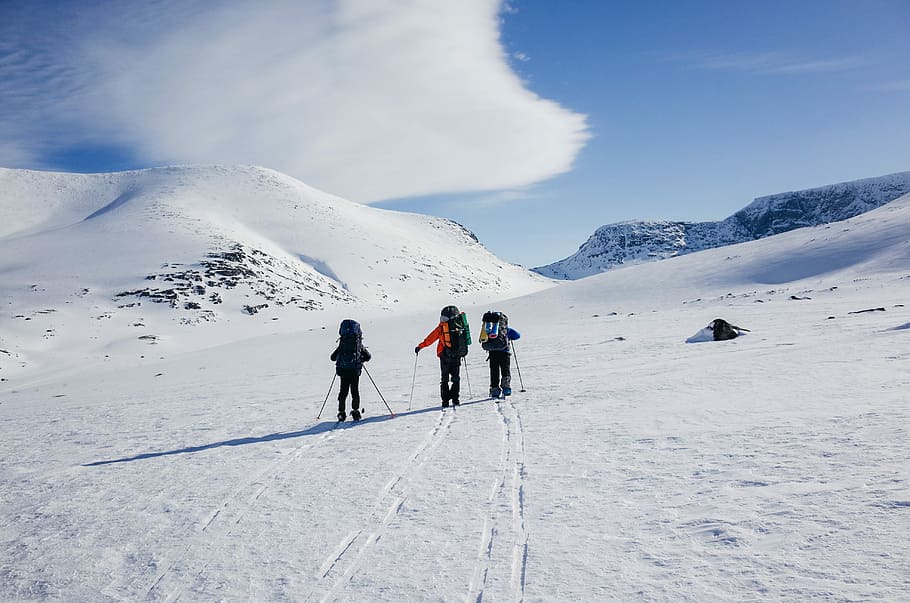 three person playing snow ski, three person walking on snow covered field during daytime HD wallpaper