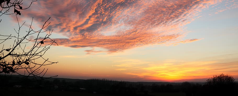 evening, sunset, the herbaria, sky, cloud - sky, orange color HD wallpaper