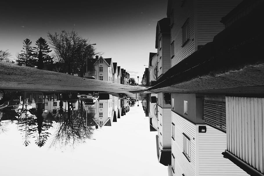 street upsidedown, grayscale photography of village, puddle, lake HD wallpaper
