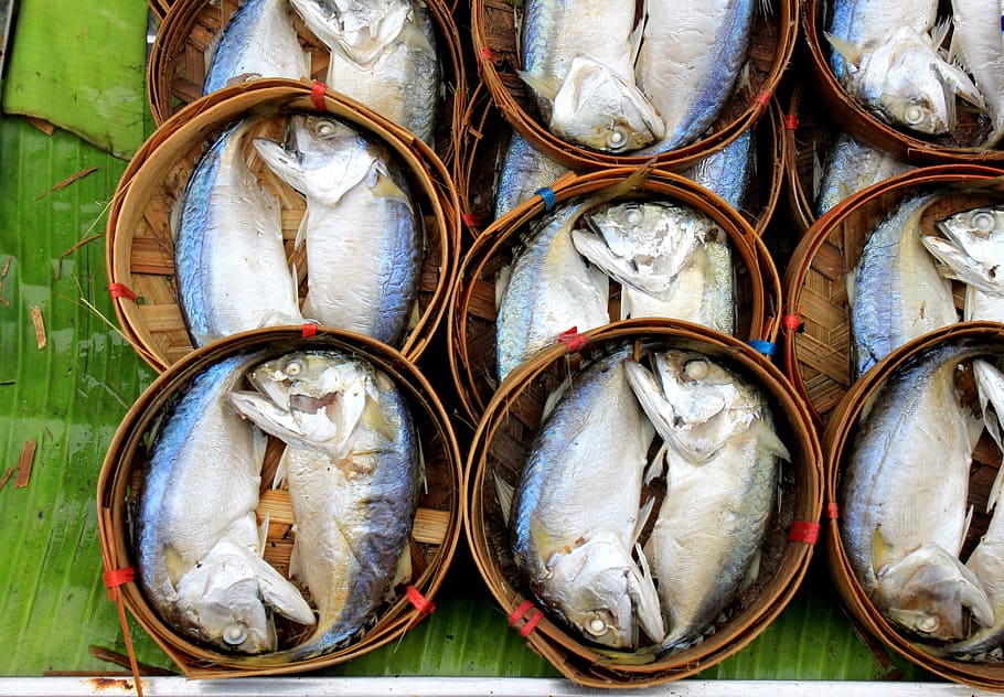 mackerel, food, fish, seafood, food and drink, freshness, vertebrate HD wallpaper