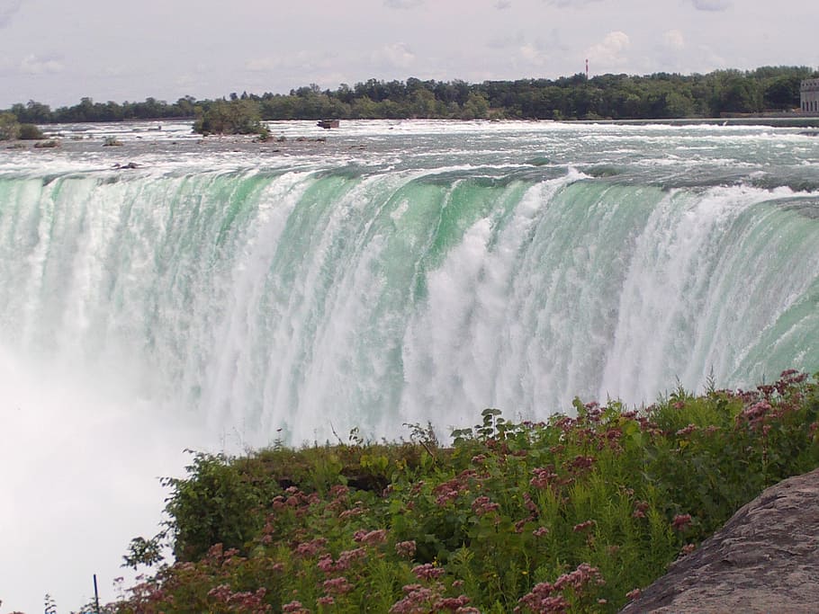 canada, toronto, niagara falls, water, plant, waterfall, beauty in nature HD wallpaper