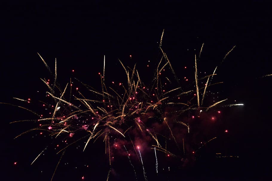 festival, summer, fireworks, night, celebration, firework display HD wallpaper