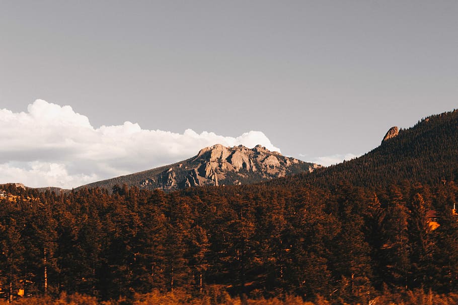 mountain and forest scenery, trees under mountaines, hill, rock HD wallpaper