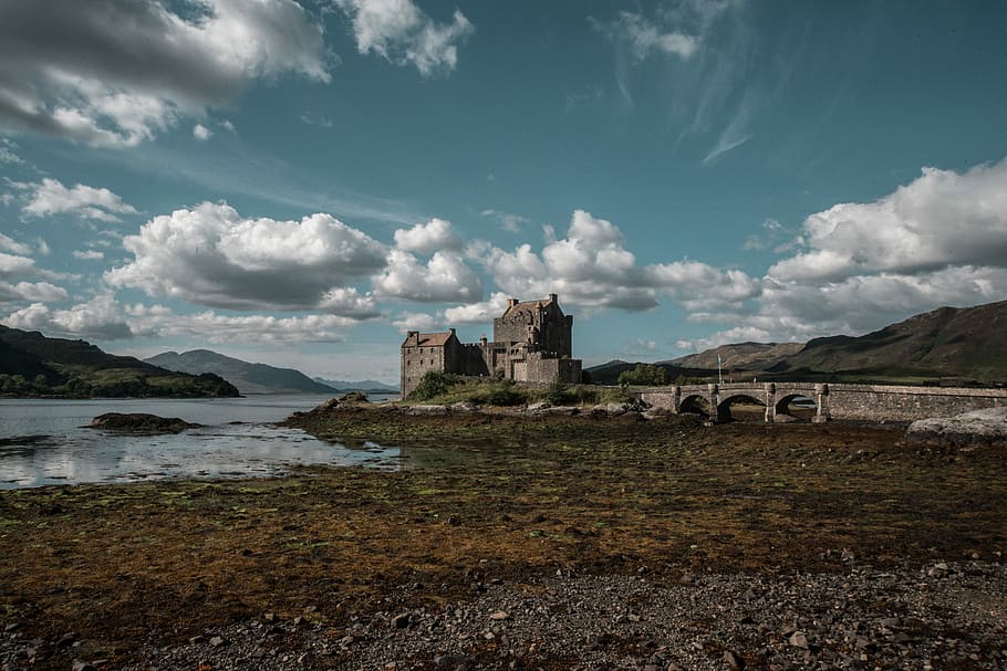 castle during daytime, castle beside the seashore, cloud, sky HD wallpaper