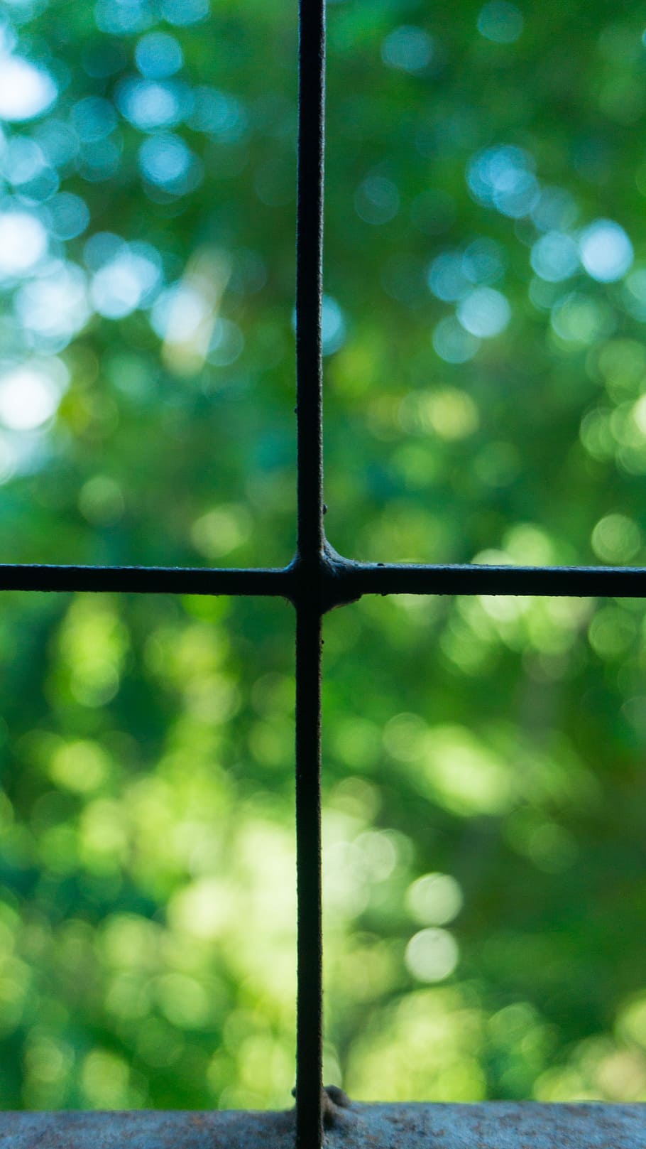 Windows, Square, View, Cross, Green, tree bokeh blur, clean