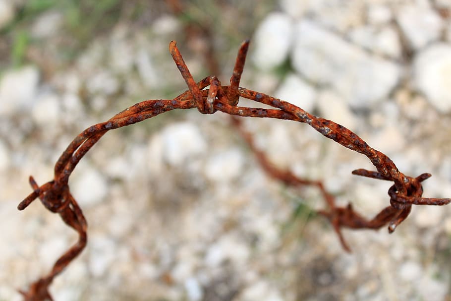 Barbed Wire, Stainless, Stone, rocky soil, metal, rusty, rusted HD wallpaper
